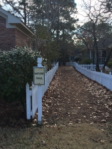 Cypress Island Community in North Carolina