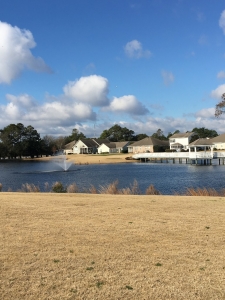 Cypress Island Community in North Carolina