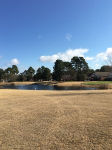 Cypress Island Community in North Carolina