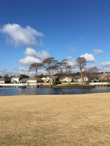 Cypress Island Community in North Carolina