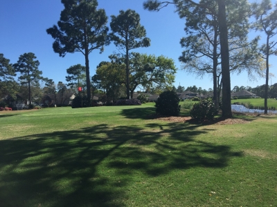 Cypress Island Community in North Carolina