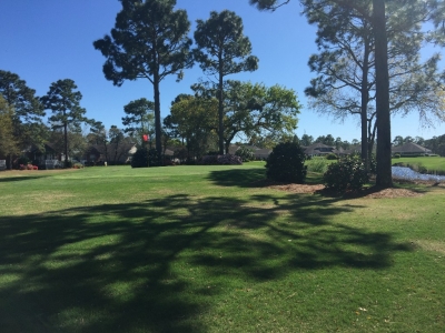 Cypress Island Community in North Carolina