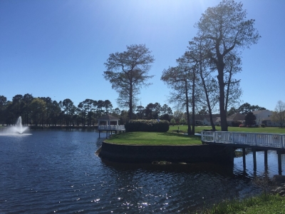 Cypress Island Community in North Carolina