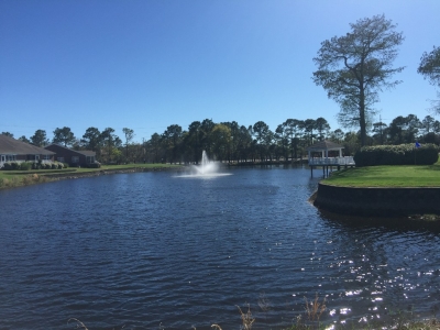Cypress Island Community in North Carolina