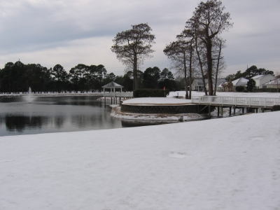 Cypress Island Community in North Carolina